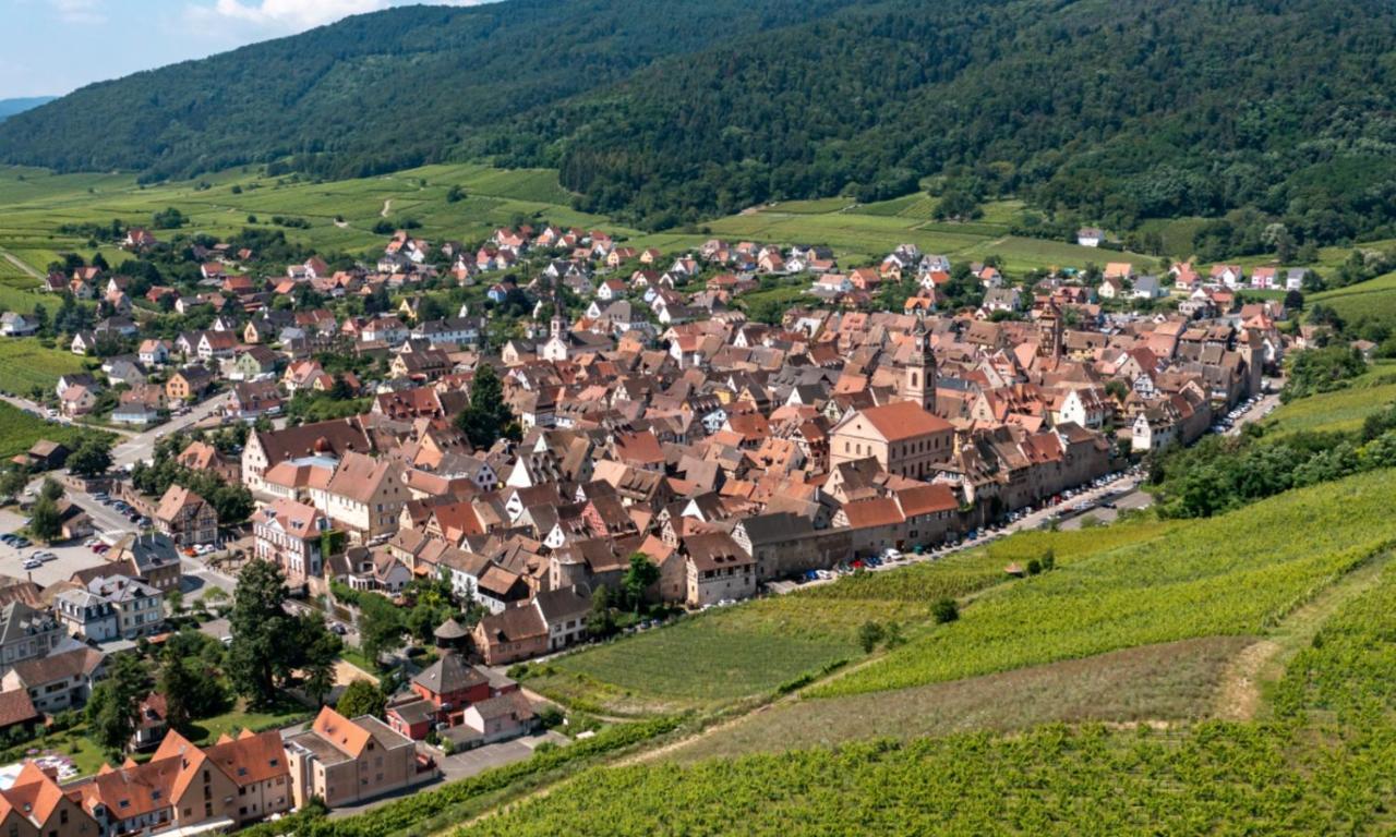 L'Escale Apartamento Riquewihr Exterior foto
